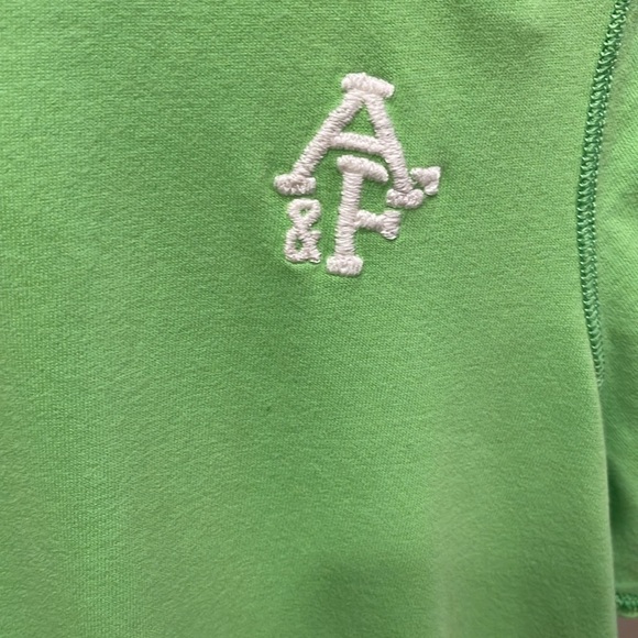 Abercrombie & Fitch L lime green muscle cotton short sleeve tshirt raised logo - Picture 2 of 8